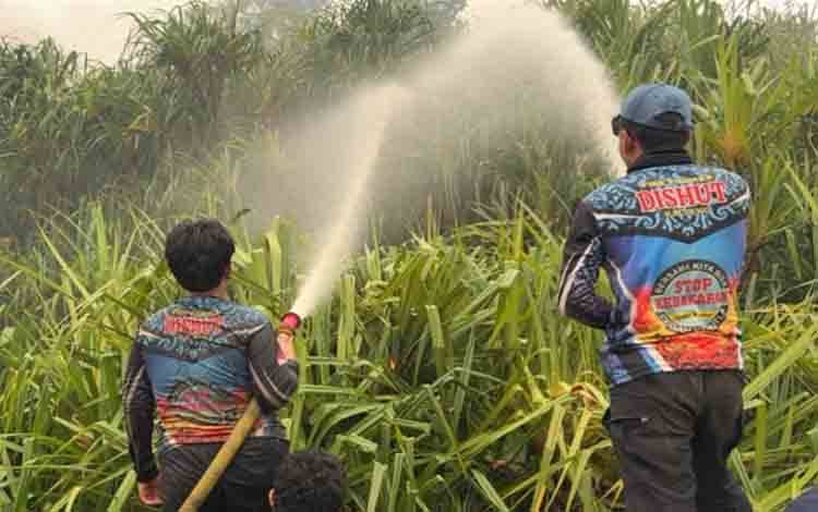 Tim Dalkarhutla Padamkan Kebakaran di Kawasan Tahura Isen Mulang Sebangau Berkah