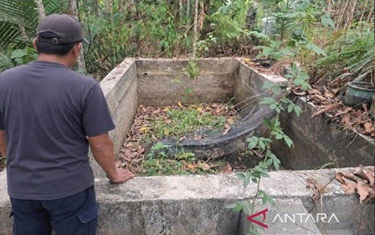 Pembudi Daya Ikan di Gunung Mas Percepat Panen Imbas Kemarau