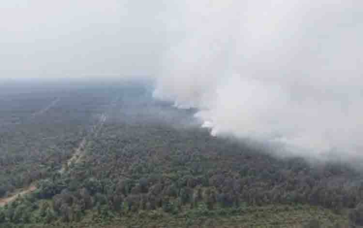 Karhutla Pulau Petak Kapuas Sulit Dipadamkan, BPBD Minta Bantuan Water Bombing
