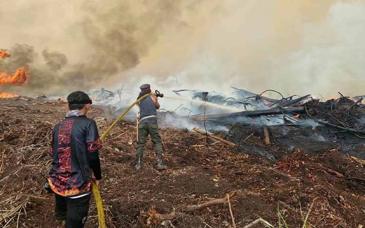 Api di Lahan Gambut Jadi Tantangan Relawan Kotawaringin Lama