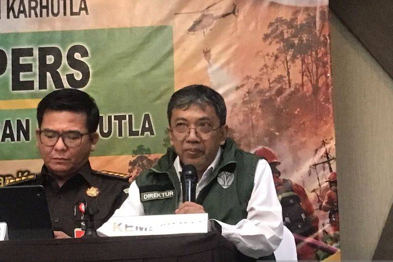Kalteng Masuk 10 Provinsi Penanganan Hukum Karhutla, Kemenhut Proses 46 Subjek