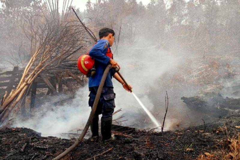 6 Pemegang Izin di Kalteng Kena Sanksi Kemenhut Terkait Karhutla