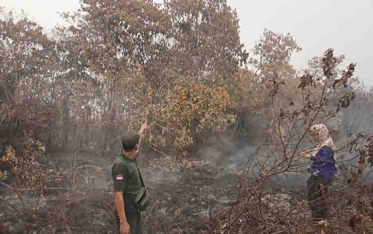 BKSDA Temukan Dua Sarang Orangutan di Tengah Karhutla Kota Besi Hulu Kotim