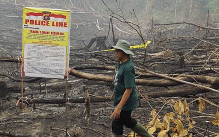 Luas Lahan Terbakar di Hayaping Jomplang, Polisi Sebut 11 Hektare Keluarga Sebut 1,1 Hektare