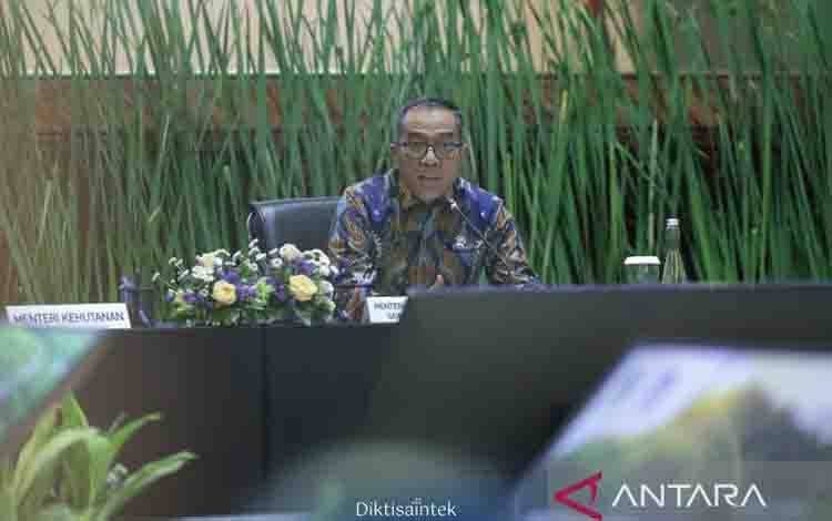 Kemdiktisaintek Libatkan Kampus Kelola Lahan Gambut dan Mangrove