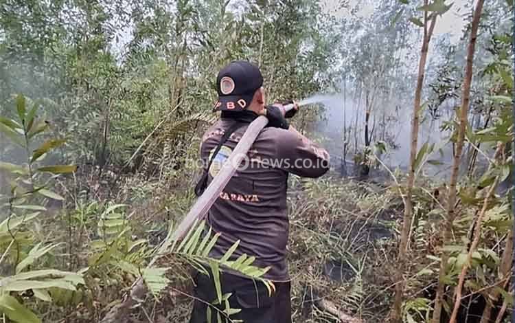 752 Kejadian Karhutla, 1.369,95 Hektare Lahan Terbakar di Palangka Raya