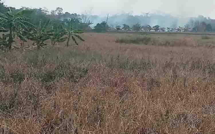 Dua Titik Karhutla Dilaporkan Muncul di Kapuas Hilir dan Basarang