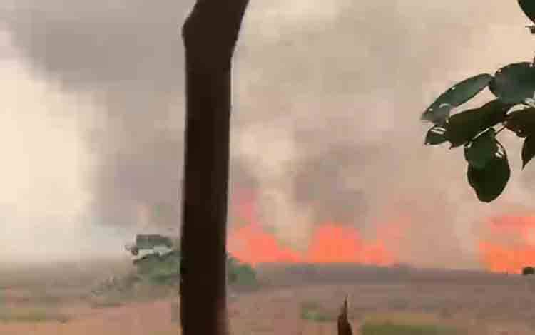 Karhutla Hebat di Handil Manting Anjir, Api Mendekati Permukiman Warga