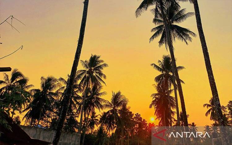 Puluhan Negara Mulai Berdatangan Ikuti World Coconut Day 2026