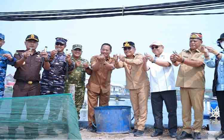 Produksi Udang Vaname Sukamara Tembus 300 Ton, Ditargetkan Lebih dari 400 Ton