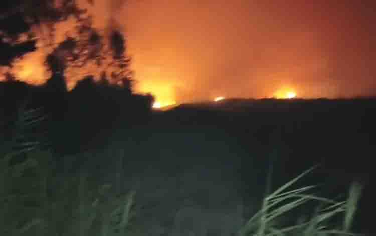 Karhutla terjadi di Sei Kayu Kapuas, Api Berjarak 250 Meter dari SMK