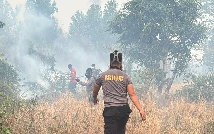 Karhutla Hampatung Kapuas Bakar 10 Hektare hingga Nyaris Menjalar ke Prlo