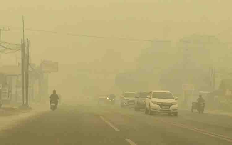 Kabut Asap Bikin Aktivitas Ekonomi Kalteng Anjlok hingga 60 Persen