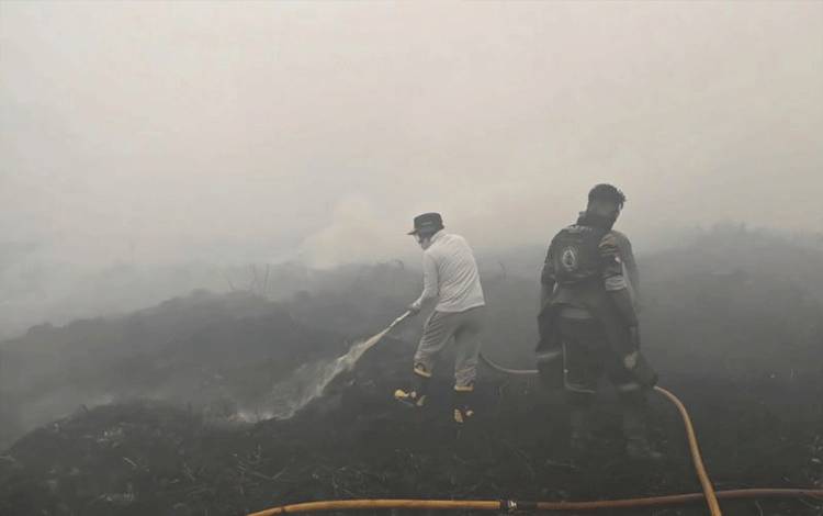 Gubernur Kalteng berjibaku padamkan kebakaran lahan di Kobar