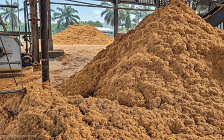 Bahan baku biomassa dari limbah sawit di salah satu pabrik pengolahan sawit di Kabupaten Siak, Riau. (Antara/HO/Dokumentasi pribadi)