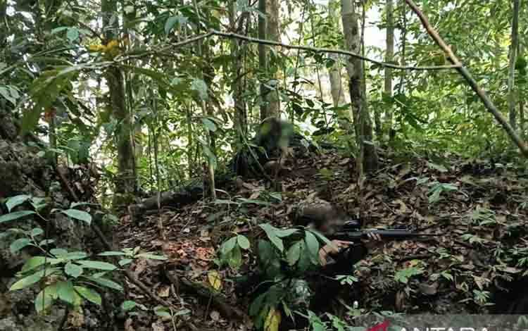 TNI Tembak Mati Tiga Anggota OPM saat Kontak Senjata di Maybrat