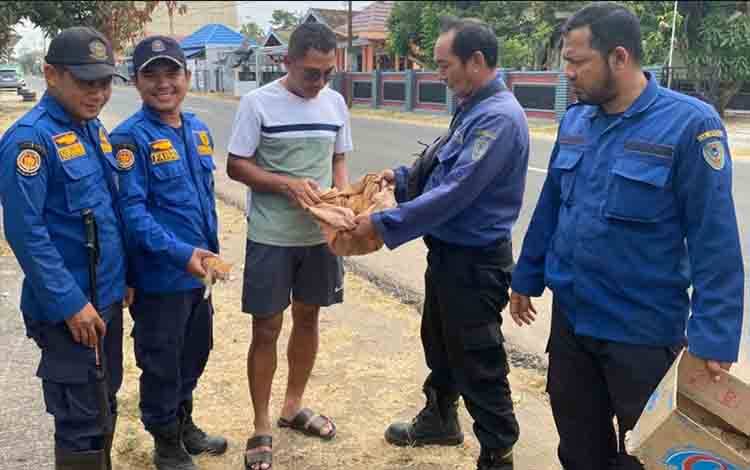 Damkar Seruyan Evakuasi Kucing Terjebak di Plafon Rumah