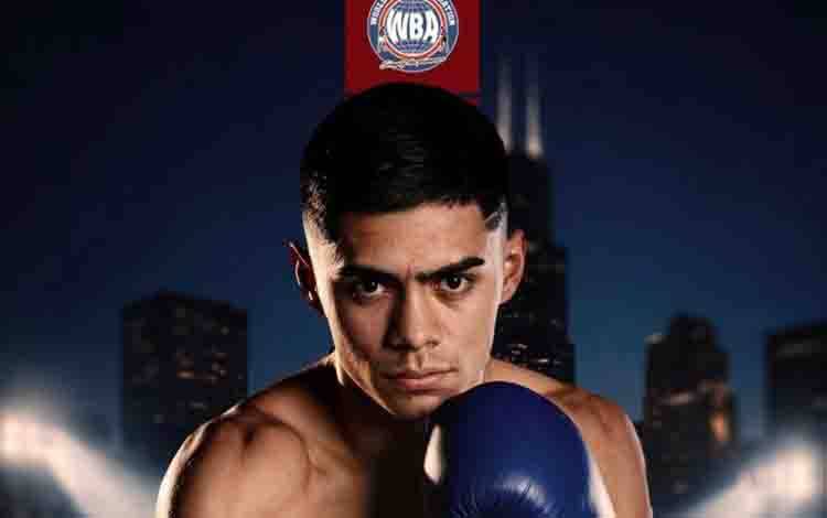 Mendoza Hentikan Sandoval untuk Rebut Sabuk Juara WBA dan WBC