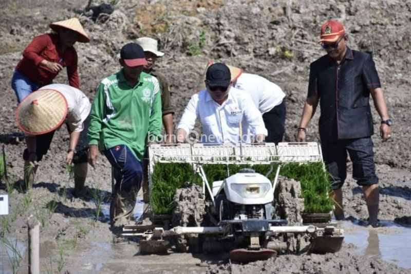 Kapuas Kejar Sisa 2.560 Hektare Cetak Sawah untuk Penuhi Target 2026