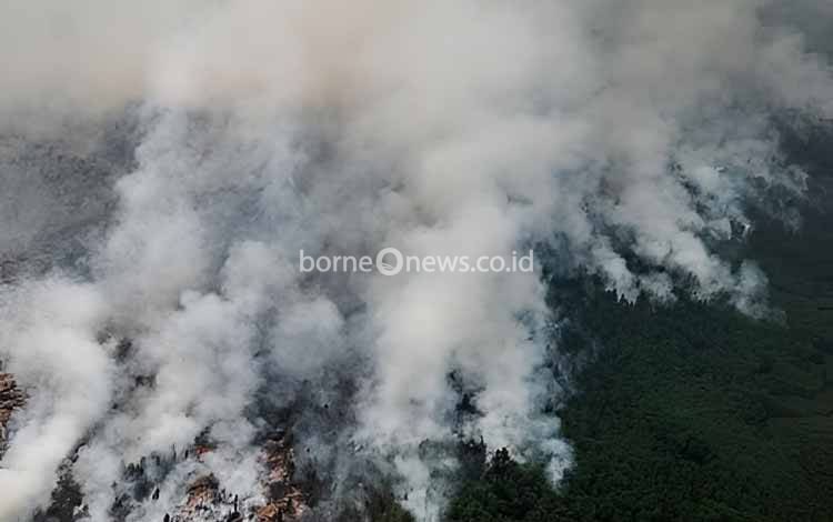 Menhut Akui Penanganan Karhutla TN Sebangau Tidak Mudah, Kepala Api Jadi Sasaran