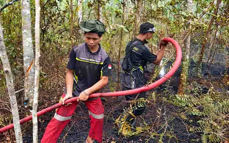 Karhutla di Lenggang Barito Timur Hanguskan 3 Hektare Lahan, Petugas Padamkan Dua Hektare