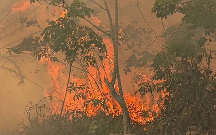 Pemprov Kalteng Tegaskan Penetapan Status Bencana Nasional Kewenangan Pemerintah Pusat
