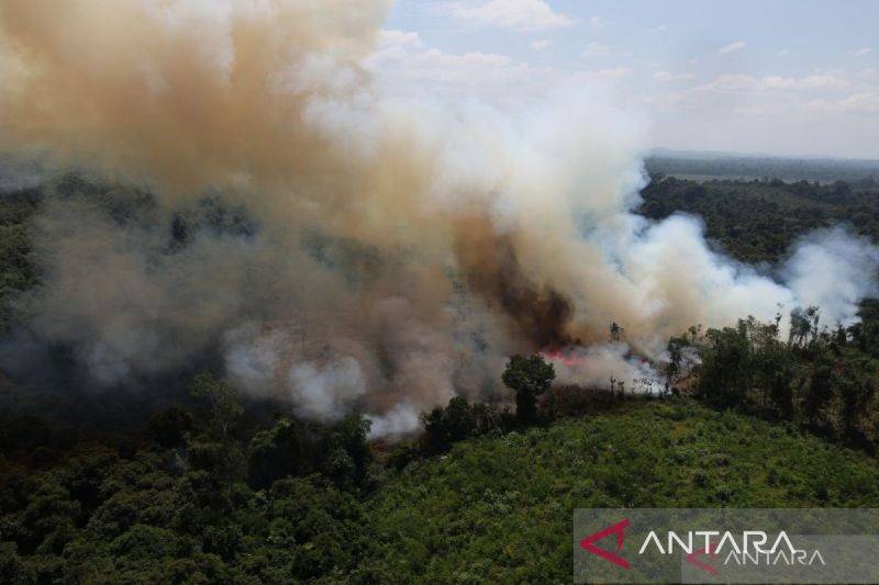 Komnas HAM Dalami Dampak Karhutla di Kalimantan, Panggil Kementerian Terkait