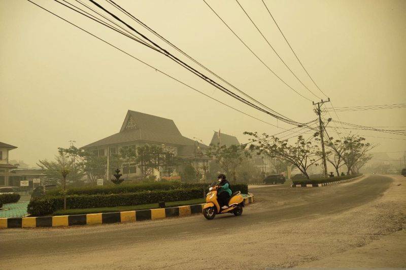 Kabut Asap Memburuk, PWI Kalteng Minta Wartawan Utamakan Kesehatan saat Liputan