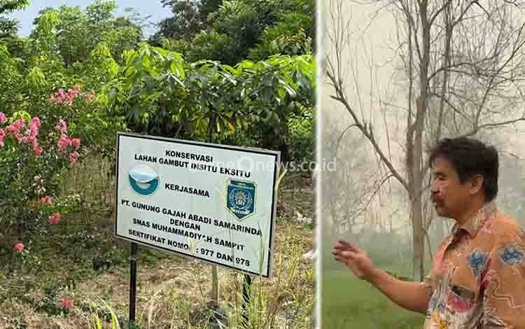 Teknologi Carbon Farming Disebut Mampu Jaga Kelembapan dan Cegah Kebakaran di Lahan Gambut