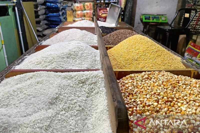 Rantai Pasok Pangan Lokal Dinilai Bisa Tekan Kenaikan Harga