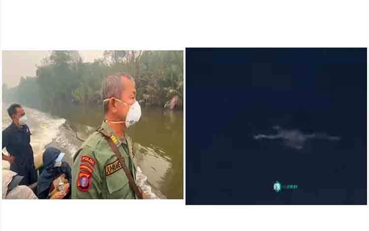 2 Jasad Orangutan Mengapung di Perairan Kumai