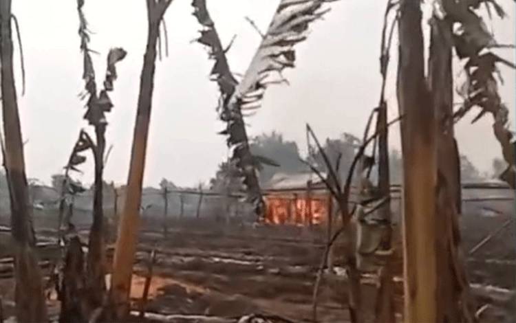 Kebakaran Lahan di Guntung Manggis Banjarbaru Hanguskan Bangunan