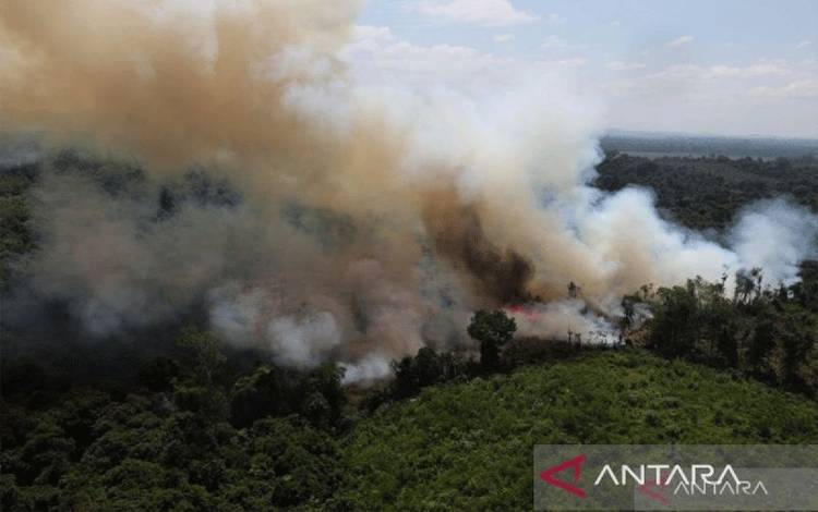 Kemenhut Beri Sanksi 32 Perusahaan Terkait Karhutla, 7 di Kalteng