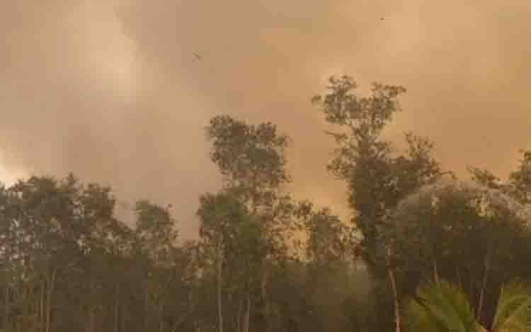 Karhutla Melanda Kawasan Belakang Kantor Bupati Kapuas, Api Ancam Rumah Warga