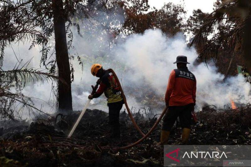 Kalteng Catat 321 Hektare Karhutla Belum Padam, Tertinggi di Enam Provinsi Prioritas