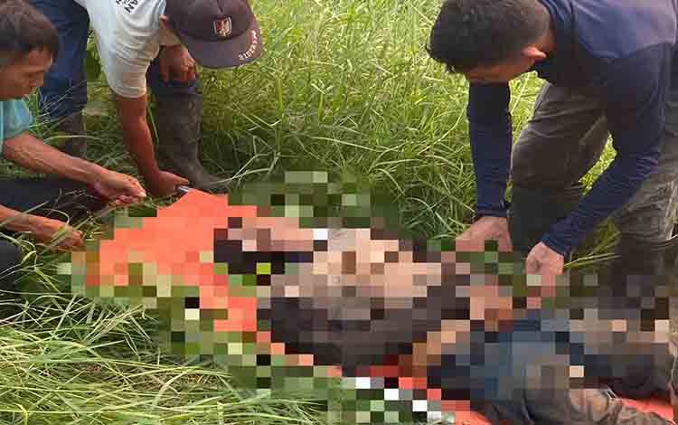Warga yang Ikut Padamkan Karhutla di Kapuas Meninggal