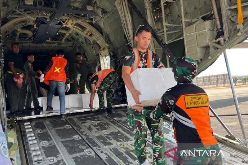 Kalteng Jadi Sasaran Dry Ice, BNPB Tegaskan Bukan untuk Padamkan Api Karhutla