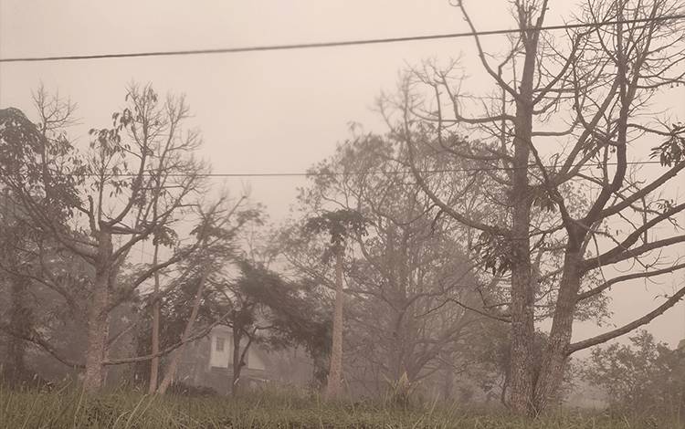 Petani Tradisional Dituding Sebabkan Karhutla, Akademisi Ilmu Pertanian Angkat Suara