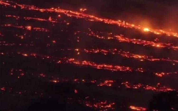 664 Hektare Eks Konsesi PWN di Lamandau Terbakar