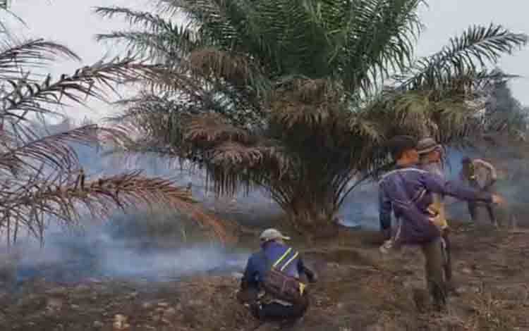 Karhutla Merambat ke Kebun Sawit Masyarakat, Bupati Kotim Pastikan Warga Terdampak Dapat Bantuan