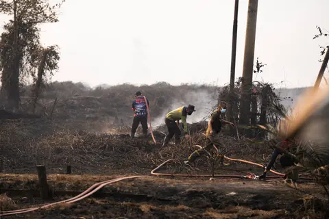 Karhutla di Lintas Pangkalan Bun - Kotawaringin Lama (Kolam) KM 14, foto 6