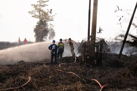 Karhutla di Lintas Pangkalan Bun - Kotawaringin Lama (Kolam) KM 14, foto 12