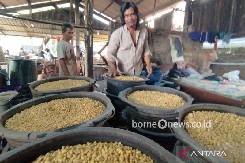 Harga Kedelai Impor Naik Jadi Rp11.500 per Kg, Stok Kian Menipis