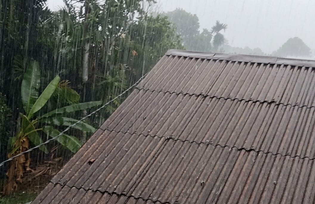 Hujan OMC Bantu Padamkan Karhutla di Kotim