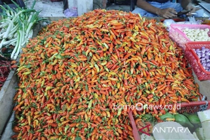 Jelang Natal 2026, Pemkab Kobar Gandeng 8 Distributor untuk Stabilkan Harga Cabai