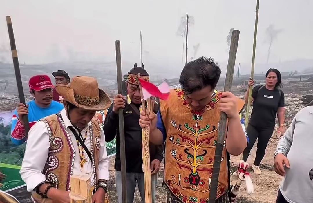 Warga Penopa Manfaatkan Lahan Bekas Kebakaran Eks Konsesi PT GPP untuk Bahuma