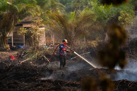 Karhutla di Lintas Pangkalan Bun - Kotawaringin Lama (Kolam) KM 14, foto 2