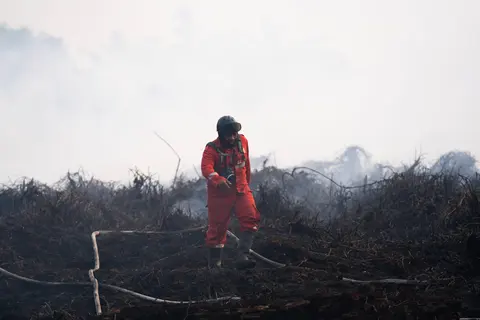 Petugas Lapangan Saat penanganan Karhutla