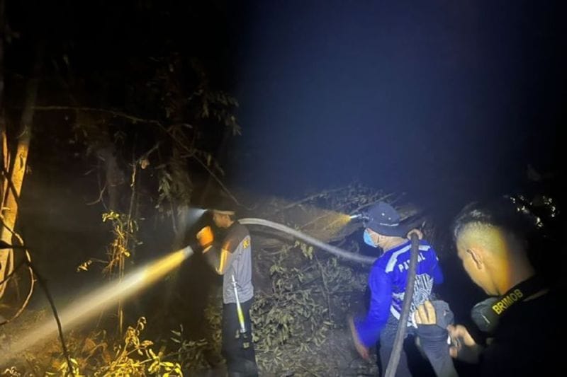 Karhutla Ancam Habitat Orangutan di Tanjung Puting, Polisi Intensifkan Pemadaman dan Utamakan Penyelamatan Satwa
